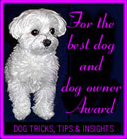 Best Dog and Dog Owner Award large white