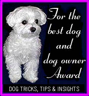 Best Dog and Dog Owner Award large white