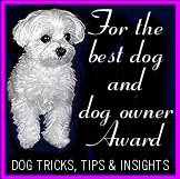 Best Dog and Dog Owner Award medium white