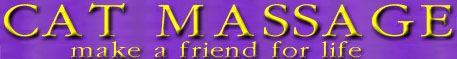 CAT MASSAGE