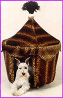 Lion King tent
