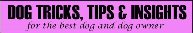 Dog Tricks, Tips and Insights